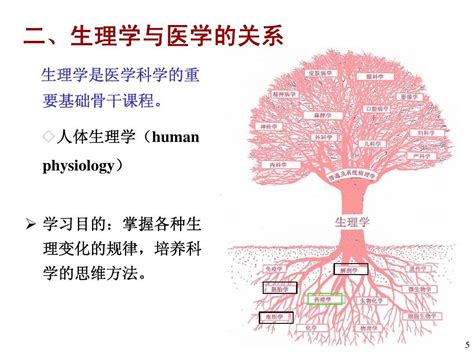 生理是什麼意思|生理学